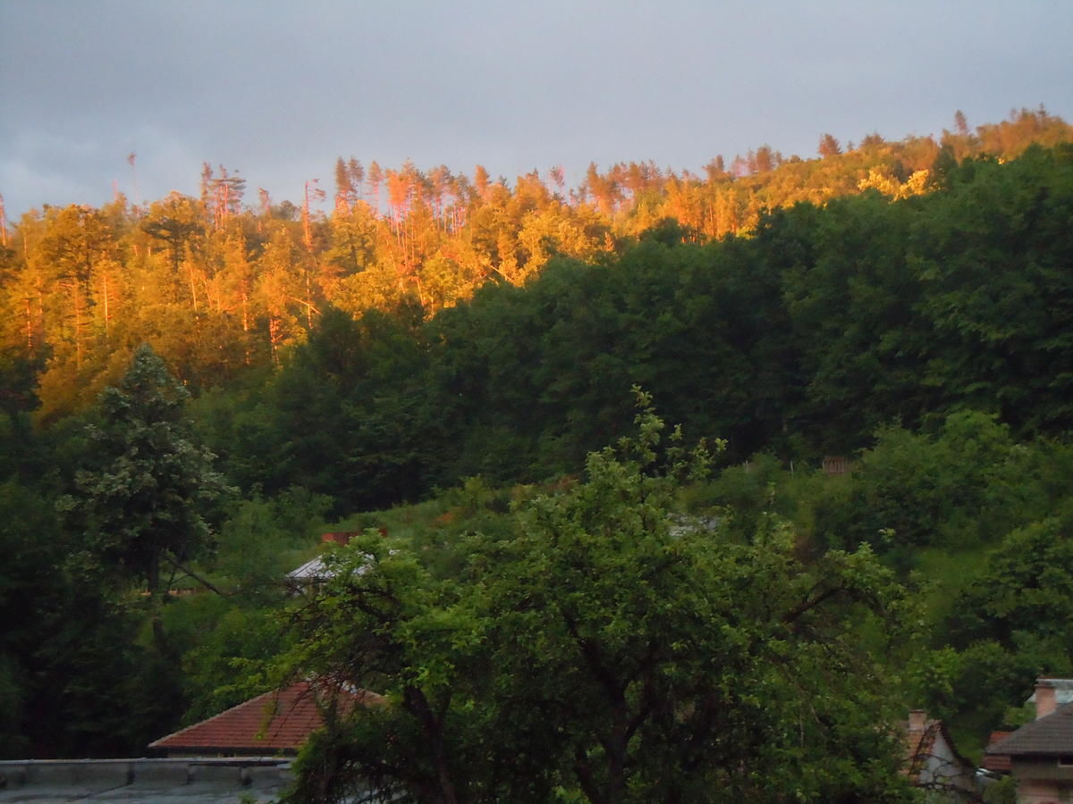 Гостевой дом Sun House Трявна-28